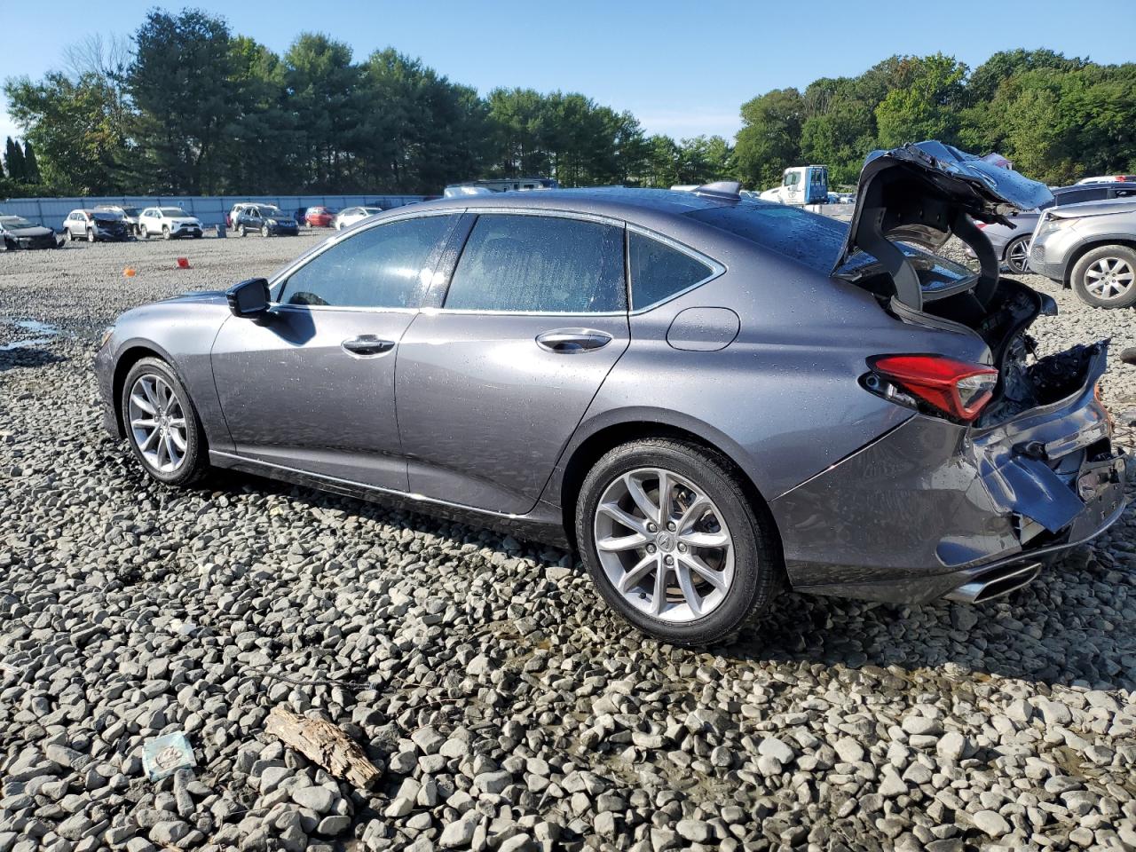 2023 ACURA TLX  VIN:19UUB5F34PA005444