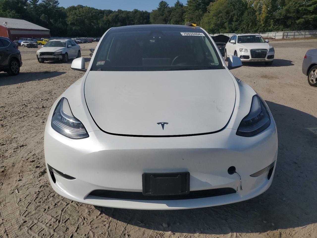 2023 TESLA MODEL Y  VIN:7SAYGDEE1PA145859