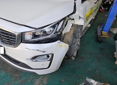 2019 Kia Carnival KNHMF37ABKS504230 VIN:KNHMF37ABKS504230