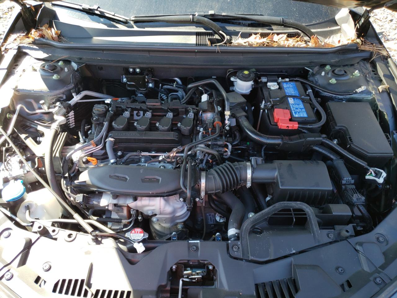 2024 HONDA ACCORD EX VIN:1HGCY1F34RA055699