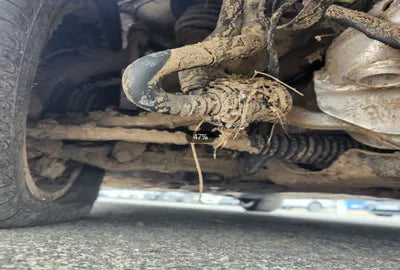 2020 Mercedes-Benz E 300 W1KZF5EB5LA817918 VIN:W1KZF5EB5LA817918