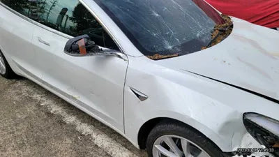 2020 Tesla Model 3 5YJ3E1EB0LF725098 VIN:5YJ3E1EB0LF725098