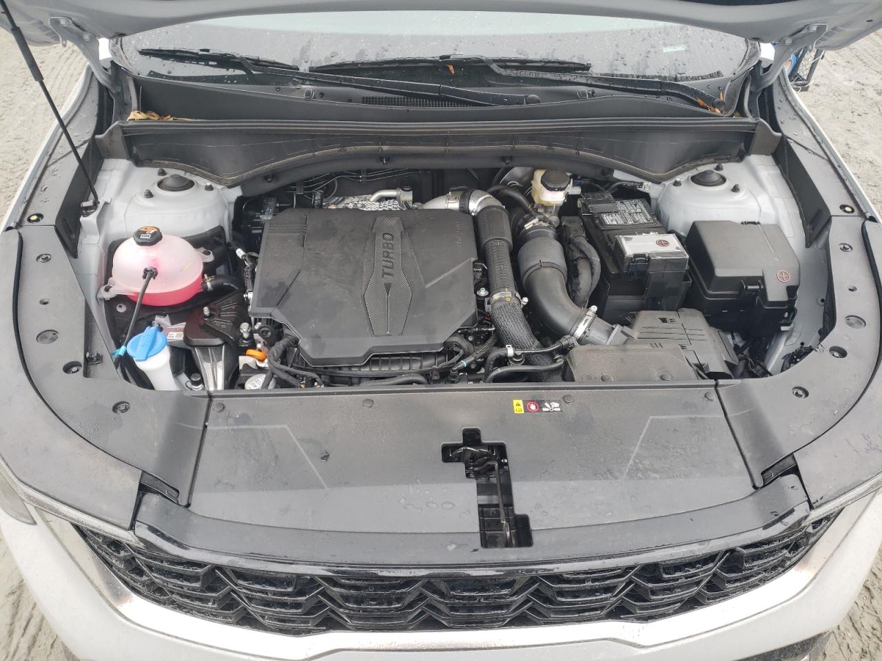2024 KIA SORENTO EX VIN:5XYRH4JFXRG308584