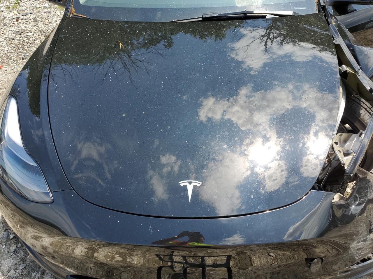 2023 TESLA MODEL Y  VIN:7SAYGDEF6PF871485