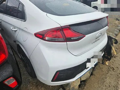 2016 Hyundai Ioniq KMHC851CGGU002184 VIN:KMHC851CGGU002184