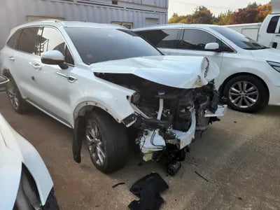 2021 Kia Sorento KNARF81BGMA102204 VIN:KNARF81BGMA102204