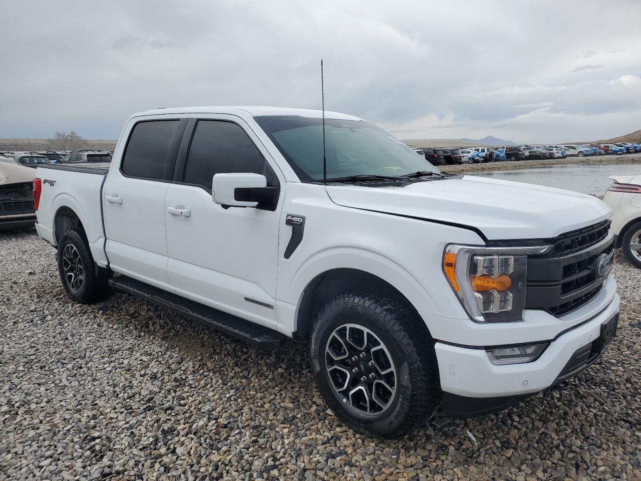 2023 FORD F150 SUPERCREW VIN:1FTFW1ED9PFD27899