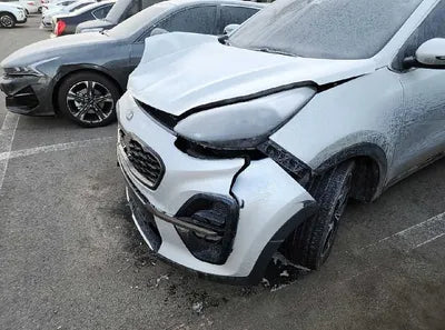 2019 Kia Sportage KNAPN813BKK659731 VIN:KNAPN813BKK659731