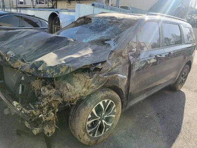 2021 Kia Carnival KNANB81BBMS126678 VIN:KNANB81BBMS126678