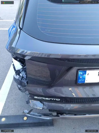 2022 Kia Sorento KNARH81GBPA141522 VIN:KNARH81GBPA141522