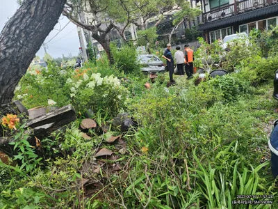 2020 BMW 740 WBA7T410XLCE40015 VIN:WBA7T410XLCE40015