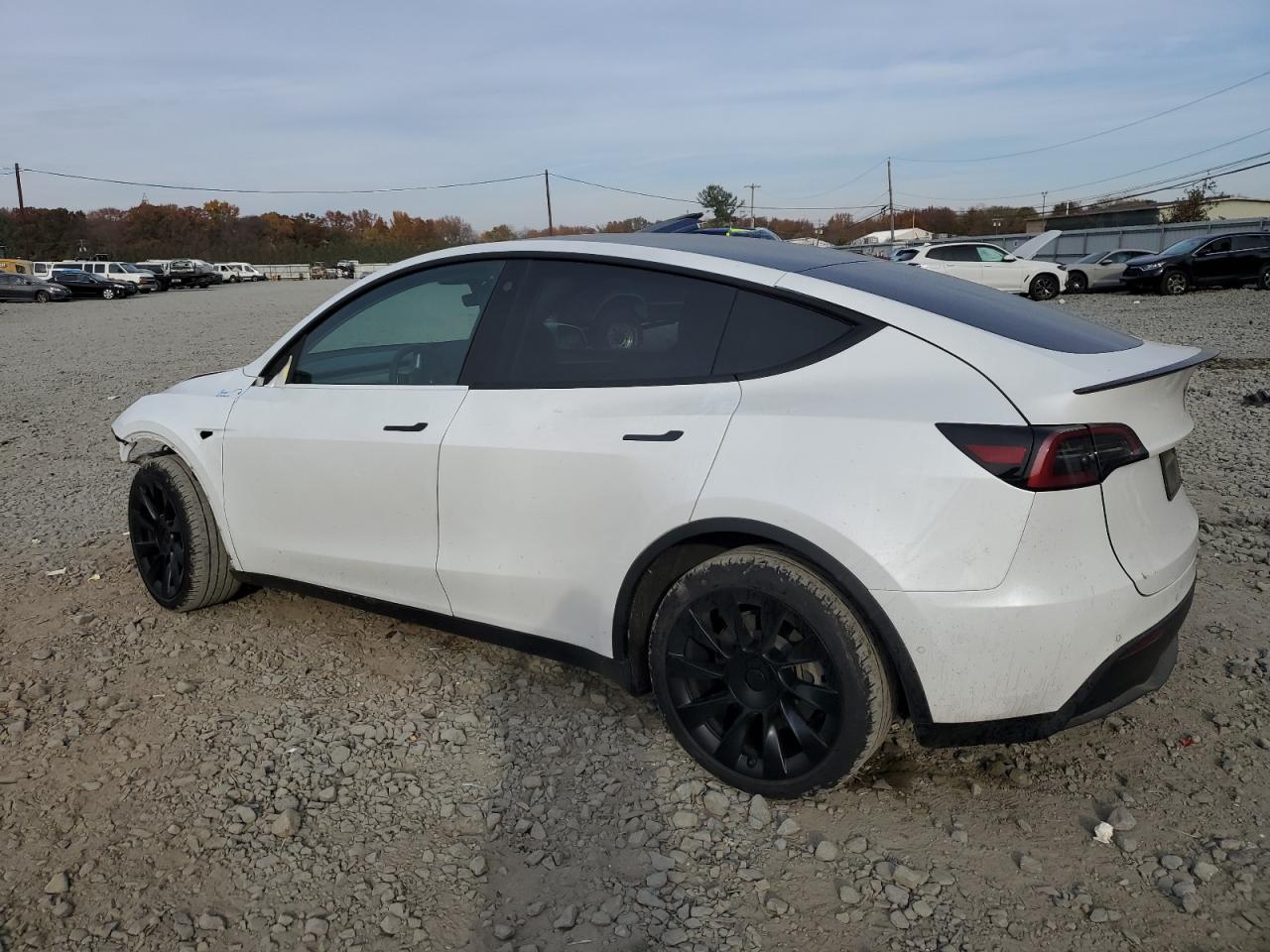 2022 TESLA MODEL Y  VIN:7SAYGDEE8NA010522