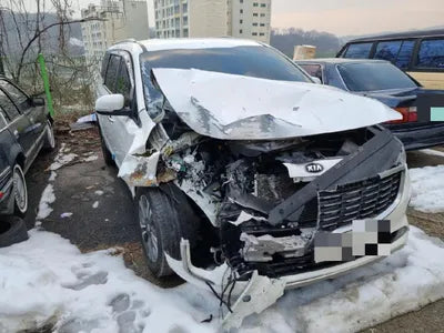2019 Kia Carnival VIN:
