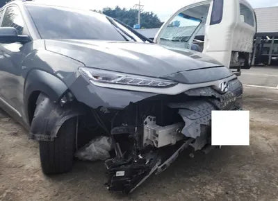 2019 Hyundai Kona KMHK381GFKU013222 VIN:KMHK381GFKU013222