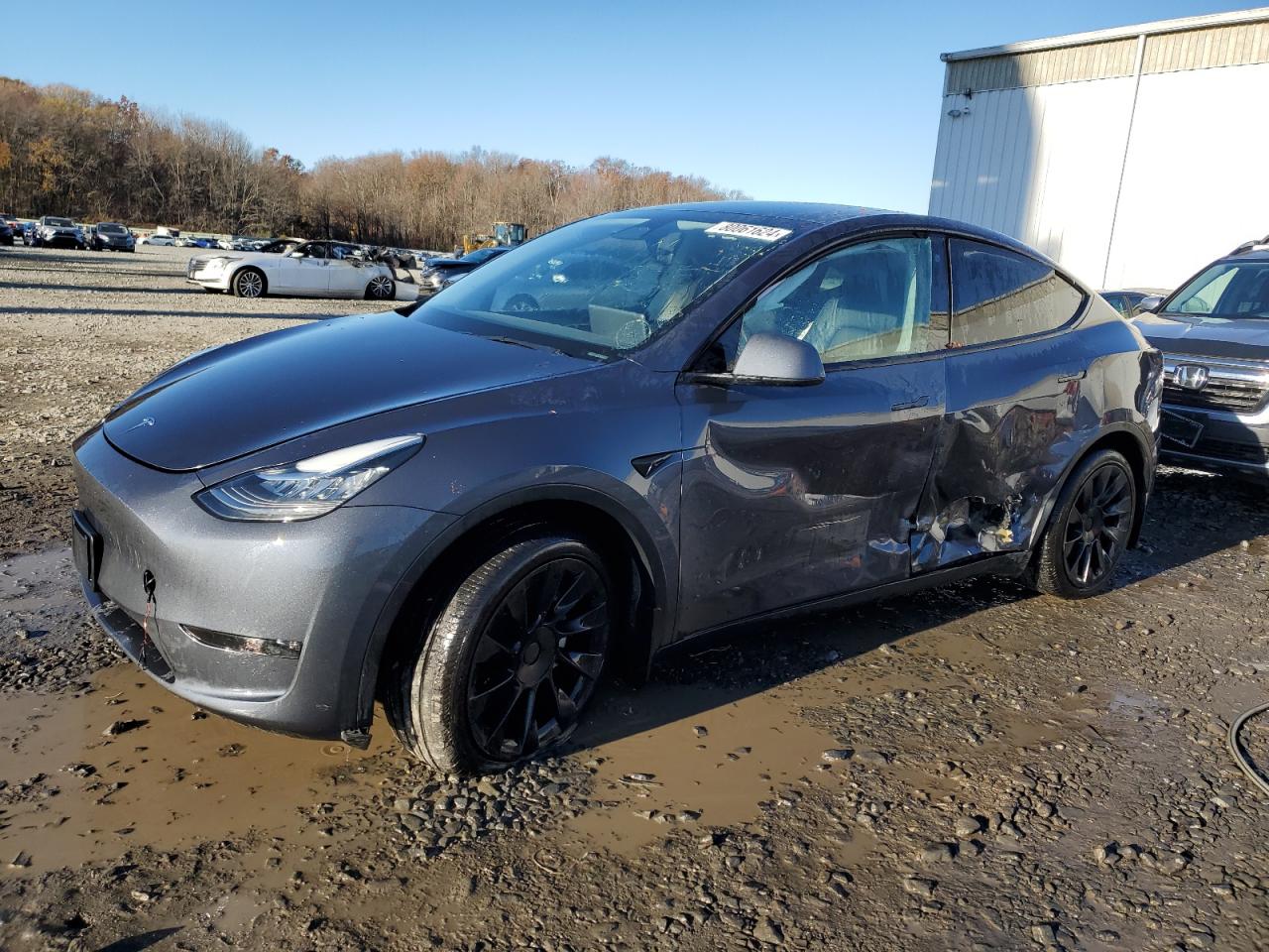 2023 TESLA MODEL Y  VIN:7SAYGDEE4PA028616