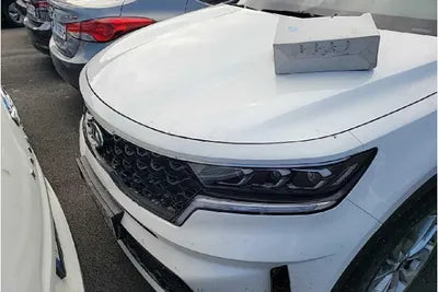 2021 Kia Sorento KNARF81FGMA070590 VIN:KNARF81FGMA070590