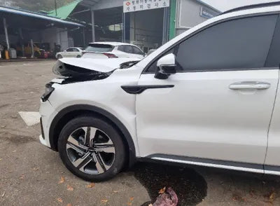 2023 Kia Sorento KNARJ81GBPA204006 VIN:KNARJ81GBPA204006