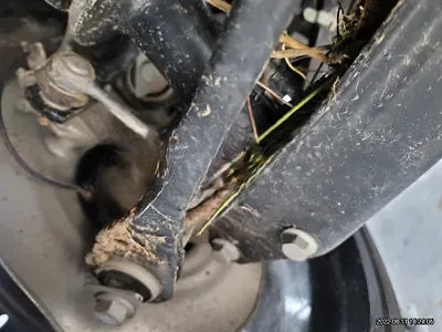 2021 BMW X4 M NONE VIN: