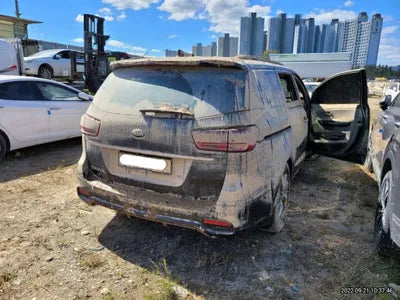 2019 Kia Carnival 395KMKNAME81ABKS5 VIN:395KMKNAME81ABKS5