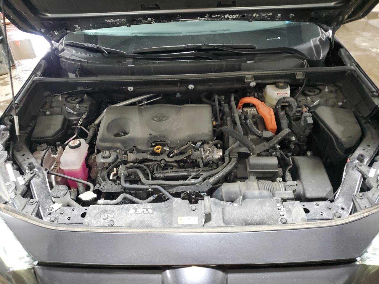 2024 TOYOTA RAV4 XLE VIN:4T3RWRFV2RU133137