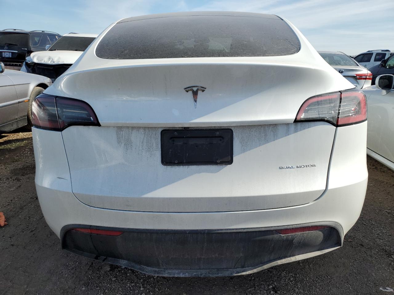 2024 TESLA MODEL Y  VIN:7SAYGDEE6RF046671