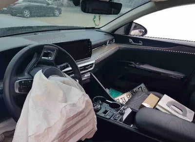 2020 Kia K5 KNAG241BBLA021569 VIN:KNAG241BBLA021569