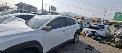 2020 Hyundai Kona KMHK4815GLU535127 VIN:KMHK4815GLU535127