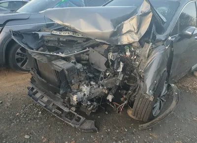 2020 Hyundai Santa FE KMKMHS281BBLU2313 VIN:KMKMHS281BBLU2313