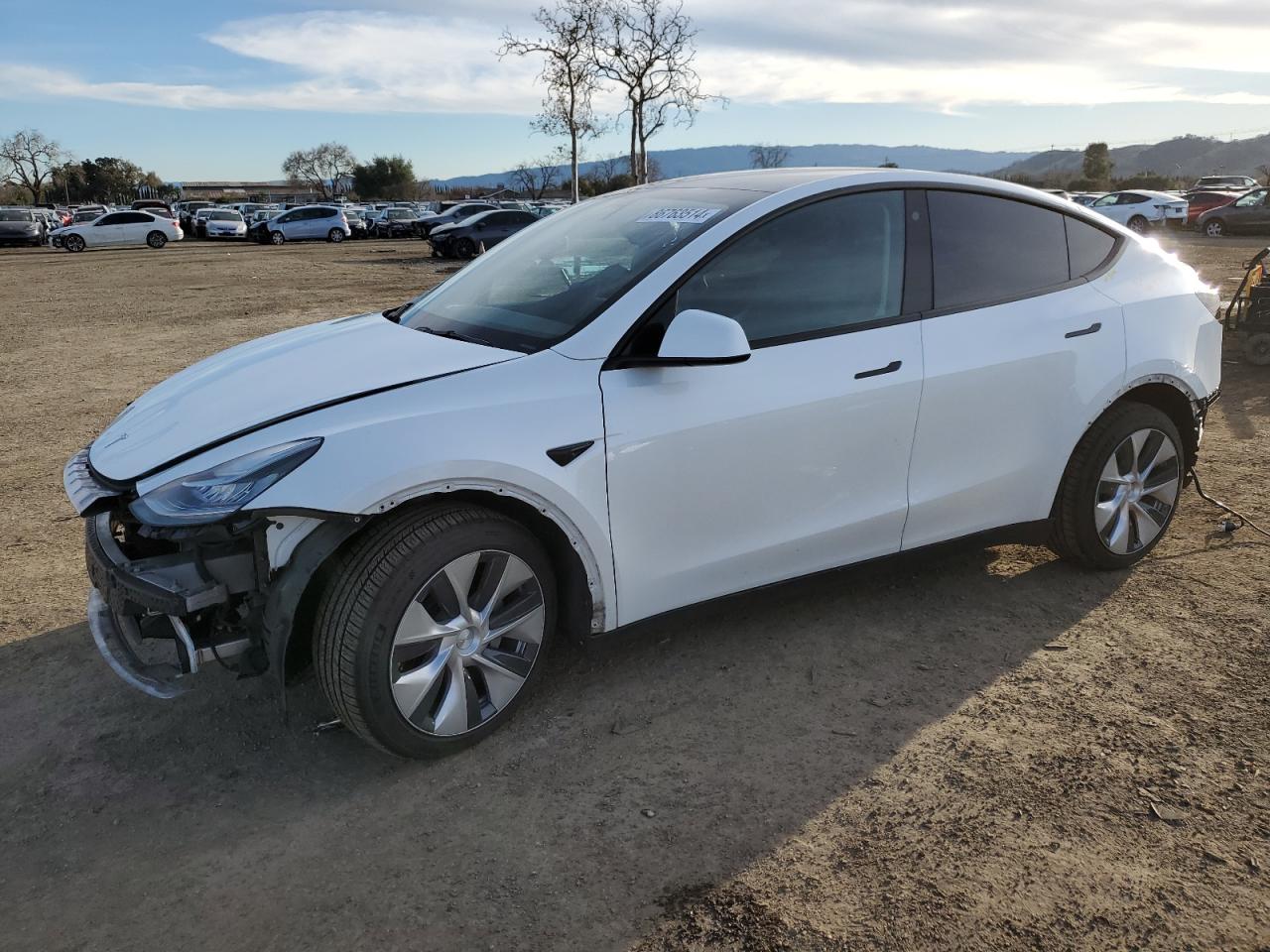 2022 TESLA MODEL Y  VIN:7SAYGDEE7NF457930