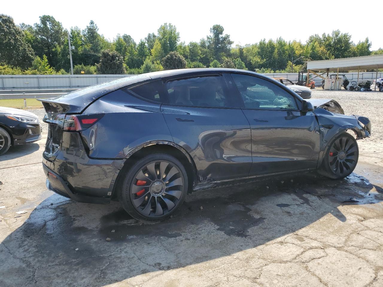 2024 TESLA MODEL Y  VIN:7SAYGDEF5RF038666