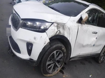 2017 Kia Sorento KNAPG81ABJA412119 VIN:KNAPG81ABJA412119