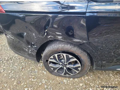 2021 Kia Carnival KNANC81BBMS077799 VIN:KNANC81BBMS077799