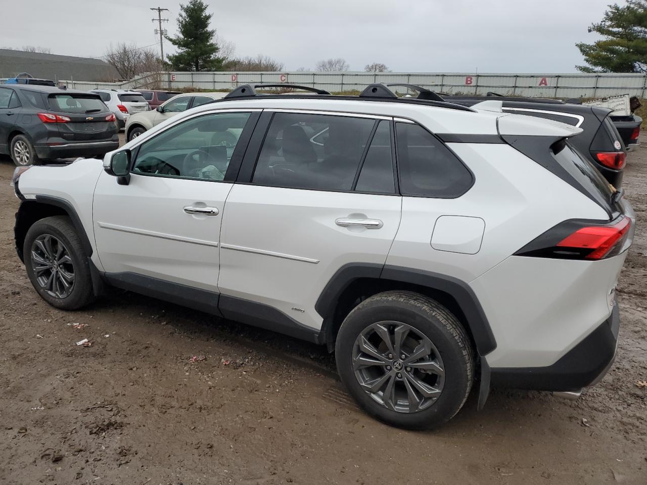 2024 TOYOTA RAV4 LIMITED VIN:4T3D6RFV7RU163972