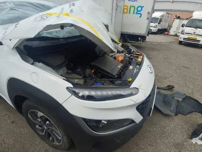 2021 Hyundai Kona KMHK281EGMU060134 VIN:KMHK281EGMU060134