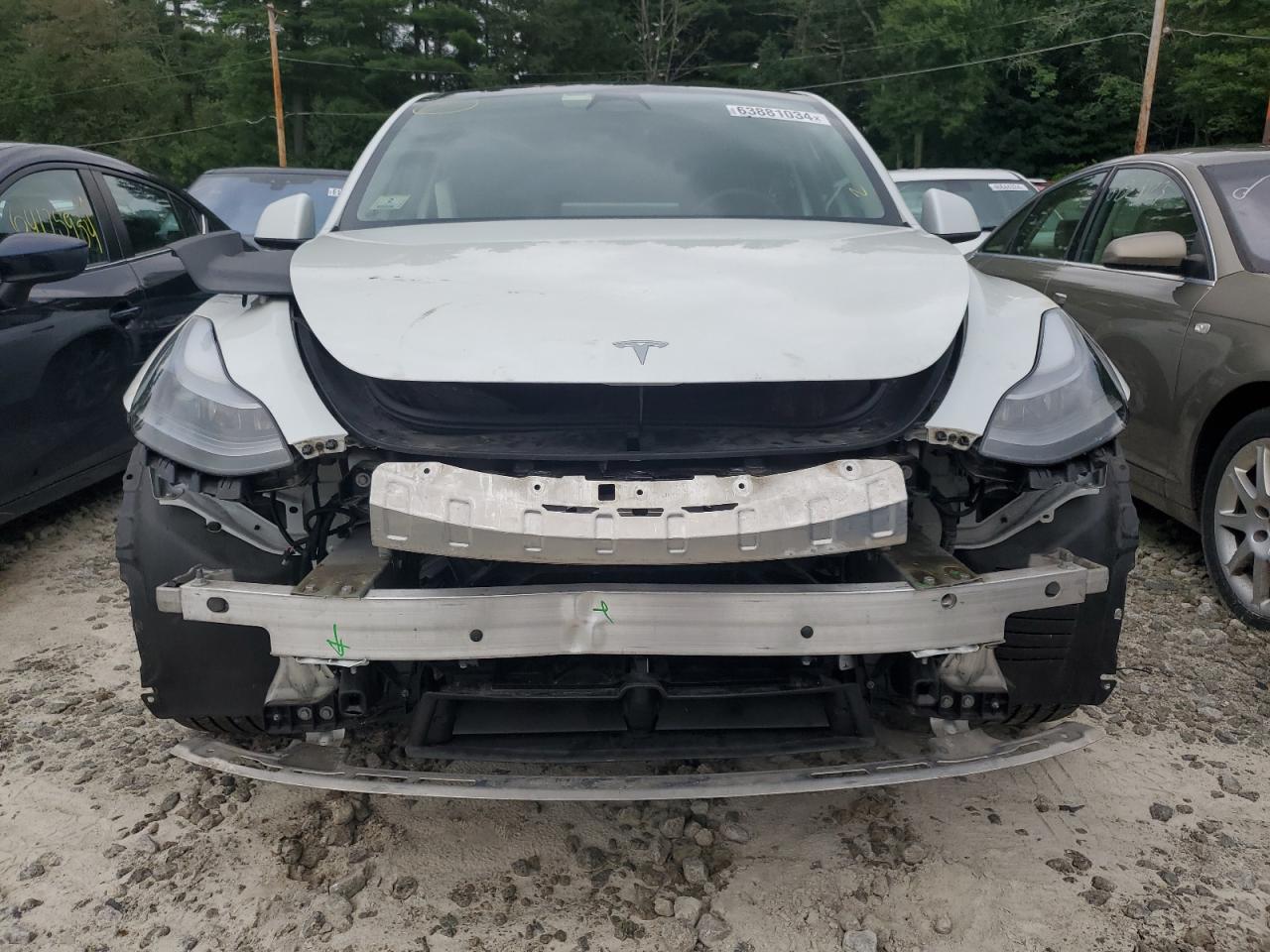 2023 TESLA MODEL Y  VIN:7SAYGDEE0PF674576