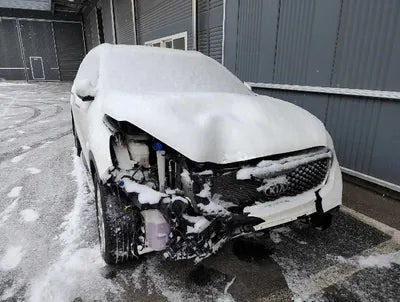 2016 Kia Sorento KNAPH81ABGA216735 VIN:KNAPH81ABGA216735