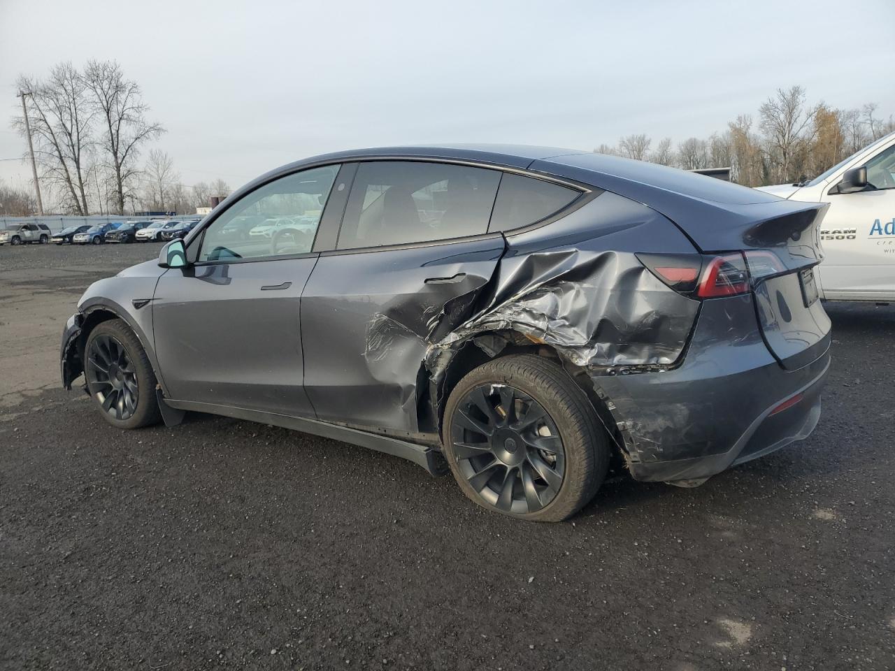 2023 TESLA MODEL Y  VIN:7SAYGDEE3PF905891