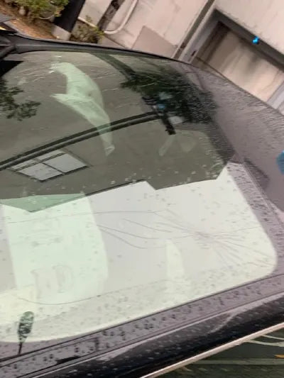 2020 Mercedes-Benz CLS 300 WDD2J1JB1LA053032 VIN:WDD2J1JB1LA053032