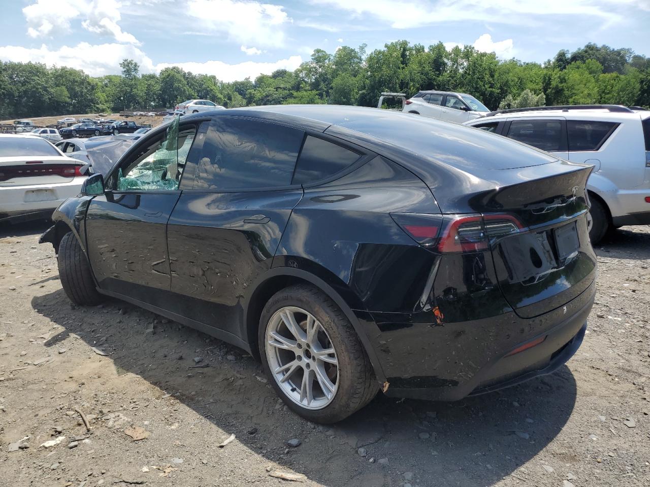 2023 TESLA MODEL Y  VIN:WP0AA2A8XNS255297