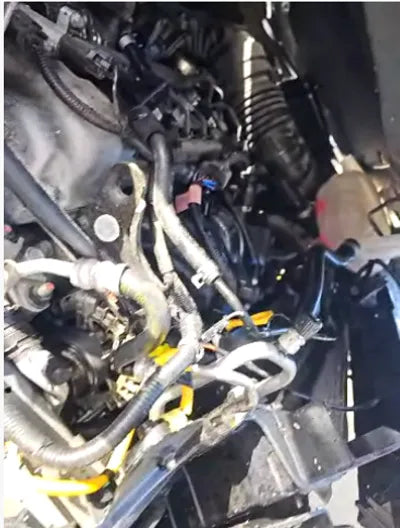 2020 Hyundai Kona KMHK4815GLU652562 VIN:KMHK4815GLU652562