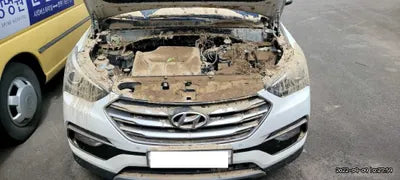 2018 Hyundai Santa FE KMHSW81UBJU859443 VIN:KMHSW81UBJU859443