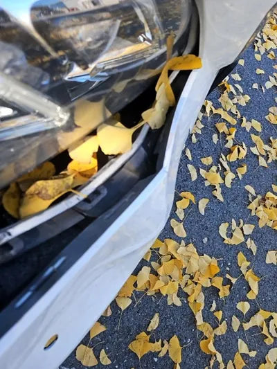 2014 Mercedes-Benz E 250 VIN: