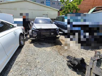 2019 Hyundai Santa FE KMHS381BBKU156411 VIN:KMHS381BBKU156411