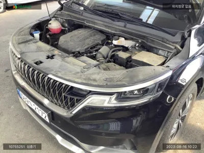 2021 Kia Carnival KNANC81BBNS143069 VIN:KNANC81BBNS143069