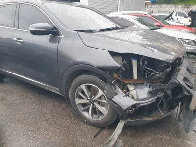 2019 Kia Sorento 187KMKNAPF81BBKA5 VIN:187KMKNAPF81BBKA5
