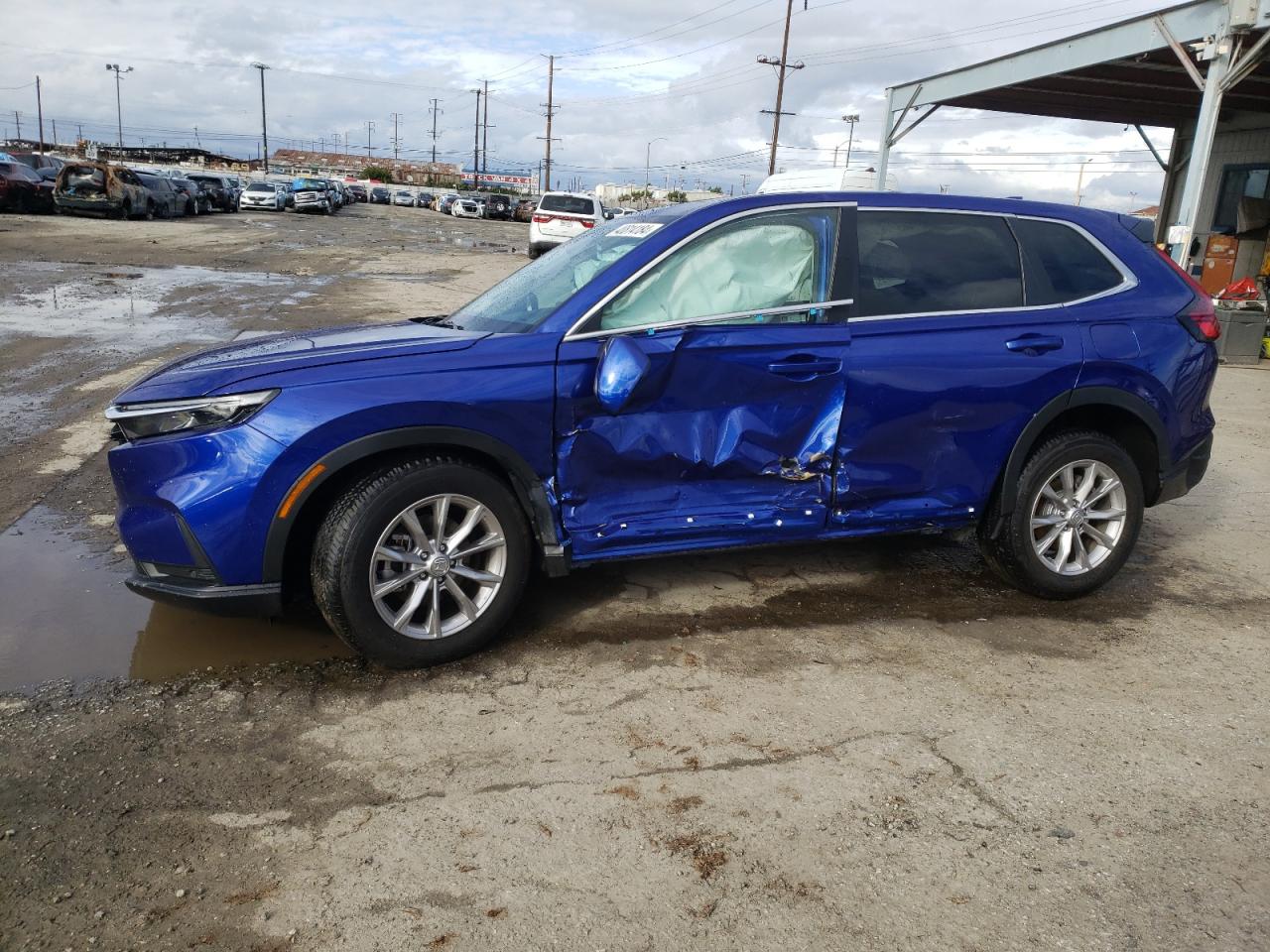 2023 HONDA CR-V EXL VIN:2HKRS4H72PH420401