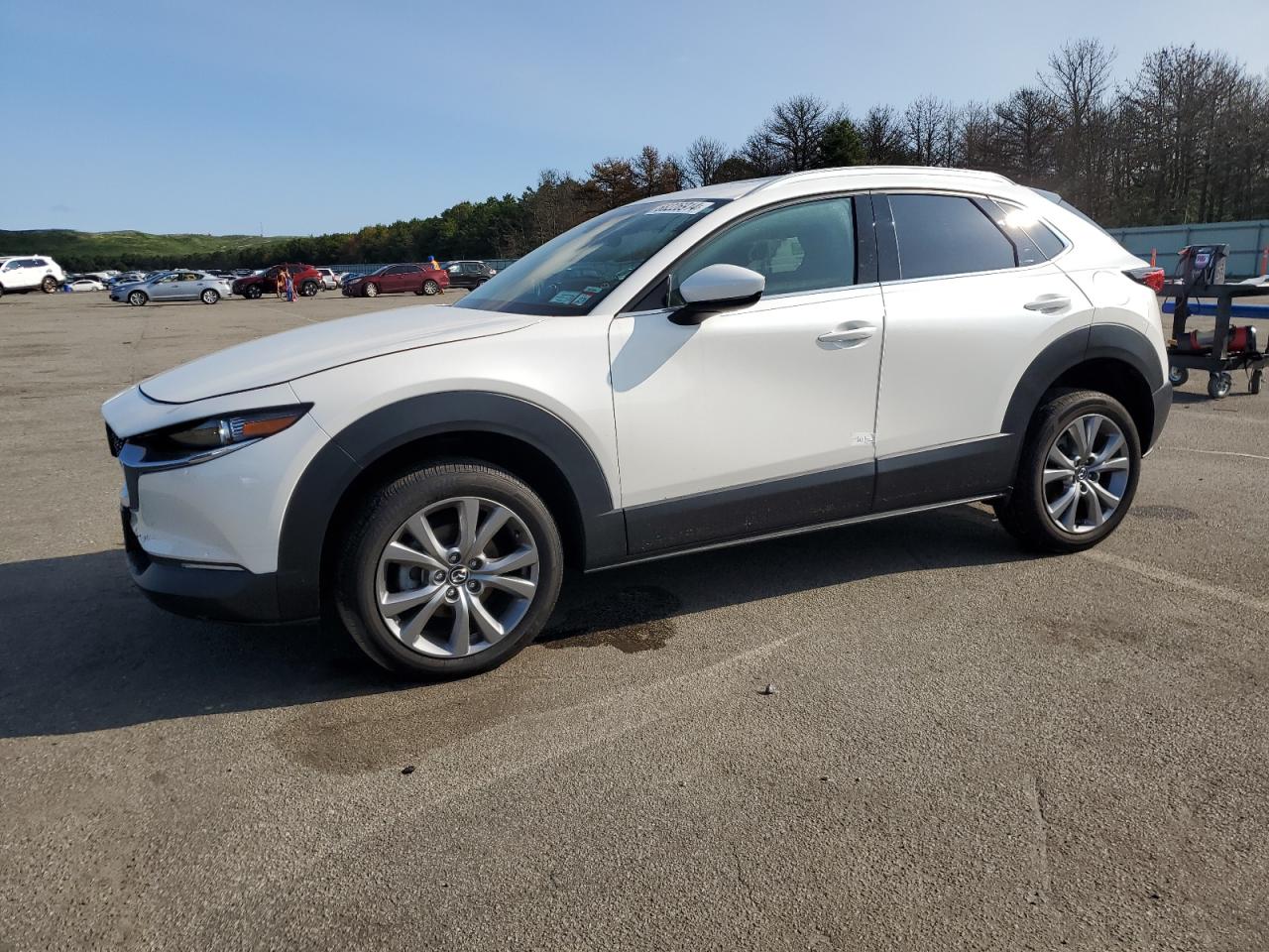 2022 MAZDA CX-30 PREMIUM VIN:3MVDMBDL4NM454664