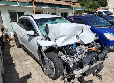 2020 Hyundai Kona KMHK281GFLU095261 VIN:KMHK281GFLU095261