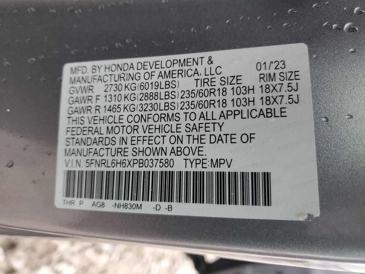 2023 HONDA ODYSSEY EXL VIN:5FNRL6H6XPB037580