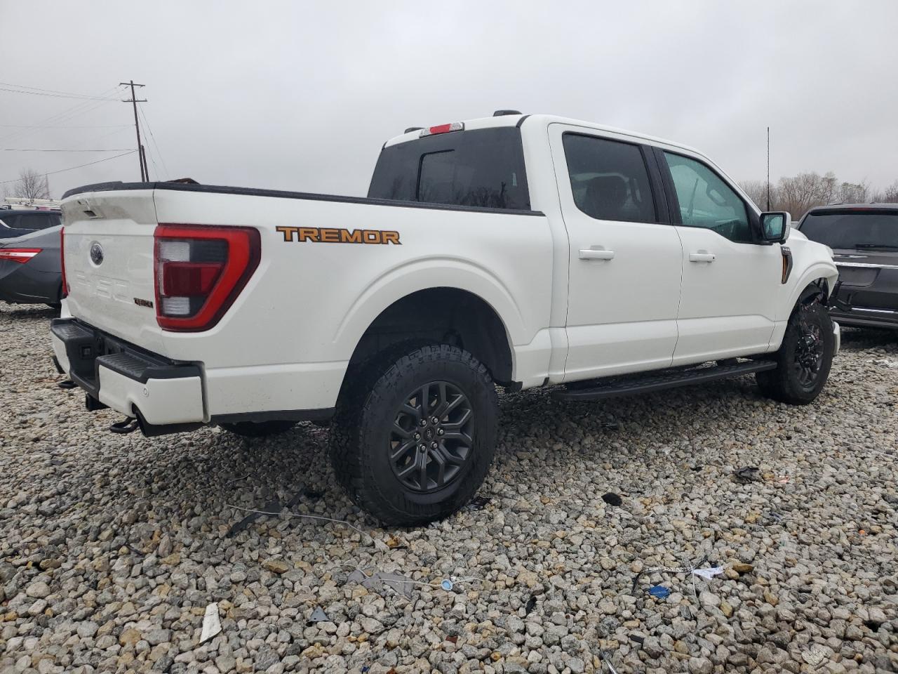 2023 FORD F150 SUPERCREW VIN:1FTEW1E89PFD12219
